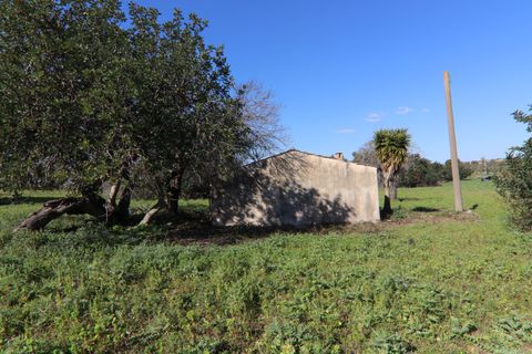 Herregård i Ispica, Ragusa, Ispica - € 120 000 | Ref: V003074 - foto 18